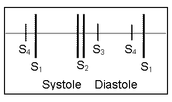 systole diastole